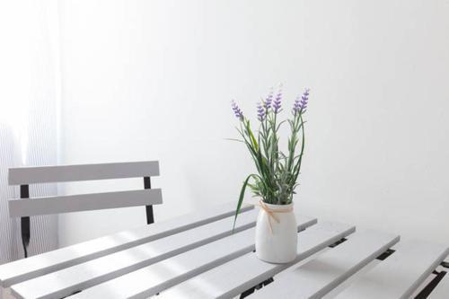 רומא Domus Merulana Bed And Breakfast מראה חיצוני תמונה